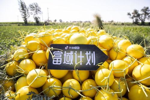 吃瓜基地抖音,带你领略网红美食的魅力！”