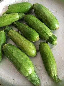 小角瓜怎么切块吃,轻松解锁美味新吃法  第1张