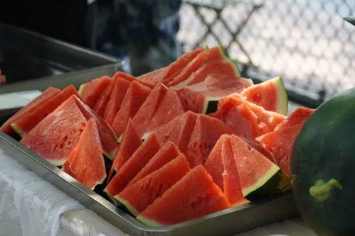 哈职吃瓜  第3张