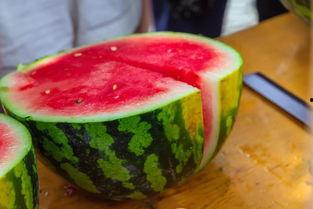 吃瓜杭州大学,揭秘杭州大学生的“吃瓜”生活