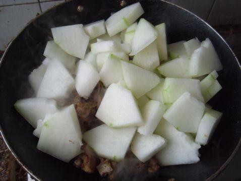 吃瓜吃鸡煲,揭秘美食背后的趣味故事 第2张 吃瓜吃鸡煲,揭秘美食背后的趣味故事 第2张