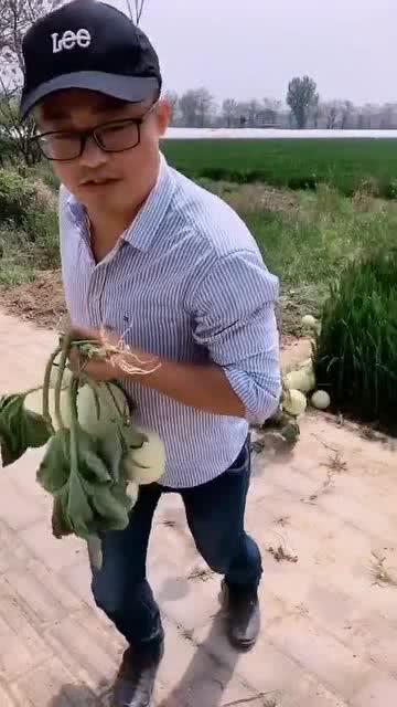 吃瓜的帅小哥,揭秘娱乐圈幕后故事  第3张