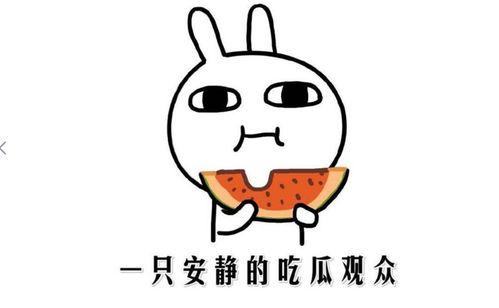 悠闲吃瓜的方法,解锁夏日悠闲生活新姿势