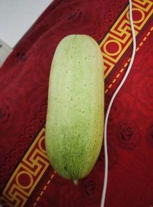 鲁丫吃瓜,揭秘娱乐圈那些不为人知的幕后故事