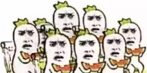 柯基吃瓜群众助威,吃瓜群众狂欢盛宴  第2张