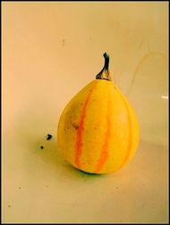 新沂探店吃瓜,瓜果飘香，美食地图大揭秘